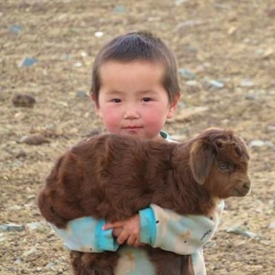 dahabamerr's profile picture. 