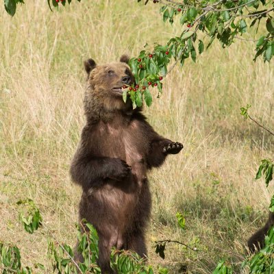 rickyvalentinee's profile picture. 🦈🦈