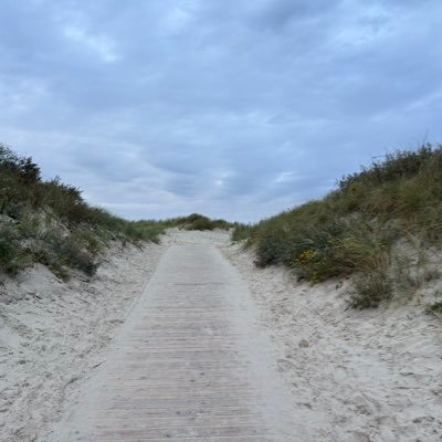 AlpeSchmid's profile picture. Angler