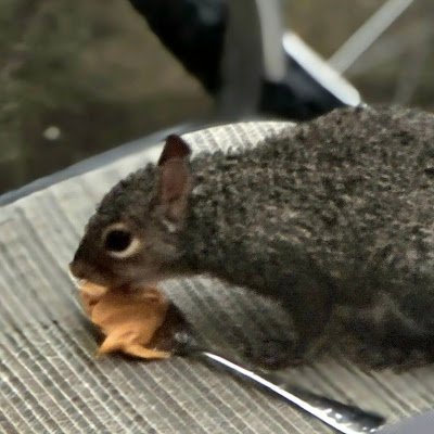 Ezdub439990's profile picture. 