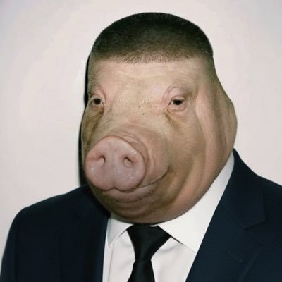 PigWifSuit's profile picture. friendly community pig • don’t shit where you eat • make friends • earn money • degen • chad • oink oink