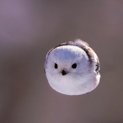 apheionvw's profile picture. 미래를 걱정하기보단 현재를 즐기세요.