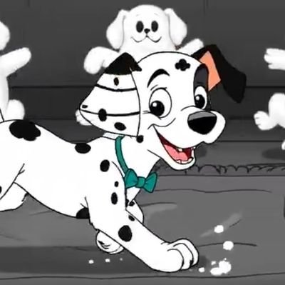 CasperDalmati's profile picture. Hello everyone, my name is Casper, I'm a pup who was born in a liter of 5. I have 5 sisters and 2 brothers.  I love my #Mate @OneDivaPuppy 💖🐾