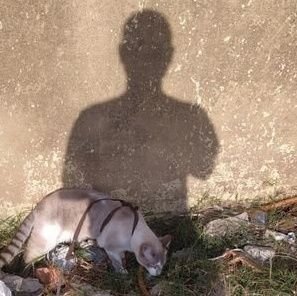 Daniel D. Souza 🐞 Profile