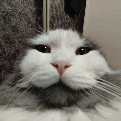 rustyoldshovel's profile picture. ★| 🇵🇱 | philosopher | music enthusiast | sex scammer | ★