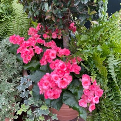 areyga09's profile picture. 