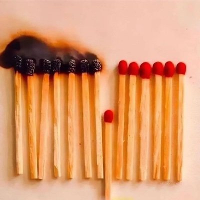 ShoshShoshana's profile picture. 