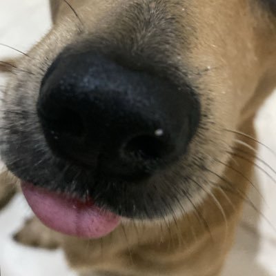 anaaodio's profile picture. me desculpe mas é assim que sagitarianos são