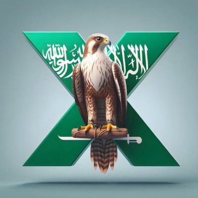 skleef150's profile picture. سكليف دقة في الأداء سرعة في الانجاز 💯 
 #سكليف #إجازة_مرضية/#
سكليف صحتي معتمد تواصل الأن https://t.co/xEVVumKMU7