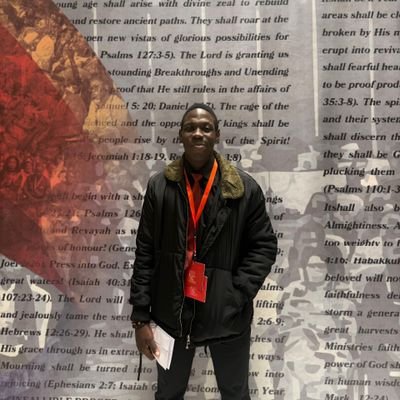 EmogheneE1's profile picture. ° Drone Operator || Virtual Assistant.