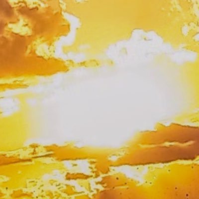 iamsolarp's profile picture. learned \ learning \ will always learn