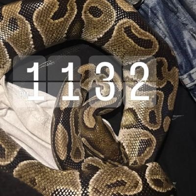 2fded_evan's profile picture. 