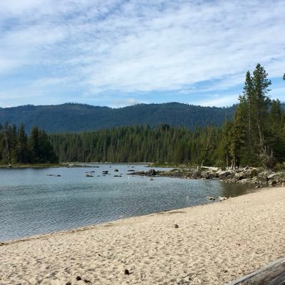 OneGirlMel's profile picture. 