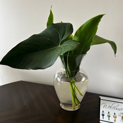 1FINENAIRA's profile picture. 