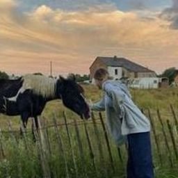 Epersi4549's profile picture. 