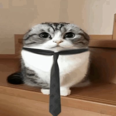 fl9re's profile picture. retired