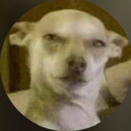 TailxrYN's profile picture. generational hater