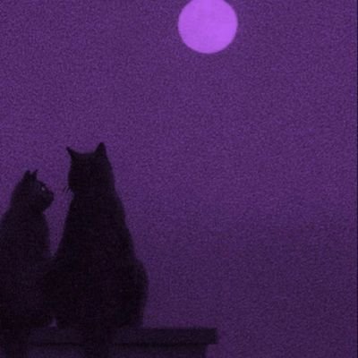 BaseBusi's profile picture. I have a personality: kataang percabeth hiccstrid kanej zoyalai hualian 

If they aren't your standard...
Forget me!!!