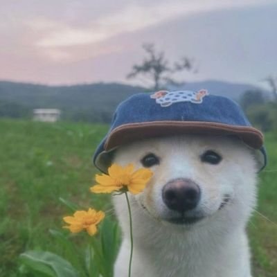 Adi_mishra16's profile picture. DSA👨‍💻👨‍💻 bhi karta hun Webdev🕸️🌐  bhi karta hoon placement na lag jaye isliye valorant bhi khelta hoon !!!(Got Placed)