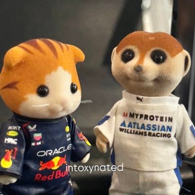 intoxynated's profile picture. emphasizing my right brain energy into self fulfilled enjoyment🫀 —the displayed toys do not represent any brand image.