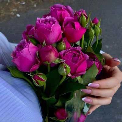 SaefMohamm93574's profile picture. 