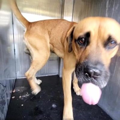 Lucas_Martin_1_'s profile picture. 