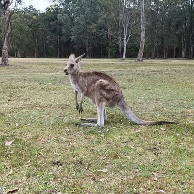 Jori19926's profile picture. 