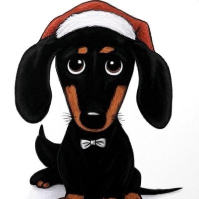 BowTiedDach's profile picture. Business Owner | #1 Reply Dog | Not Financial Advice | $50 free crypto → https://t.co/NAuUc3r2EN 🚀