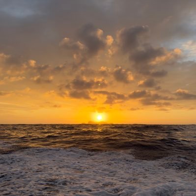 StarlowAnanda's profile picture. 👣元旅人 🌾農業 🧩夢 = 🇯🇵🧑‍🌾🌟 未来は希望、夢は絶対。スピリチュアルメッセンジャー農家🌱✌️