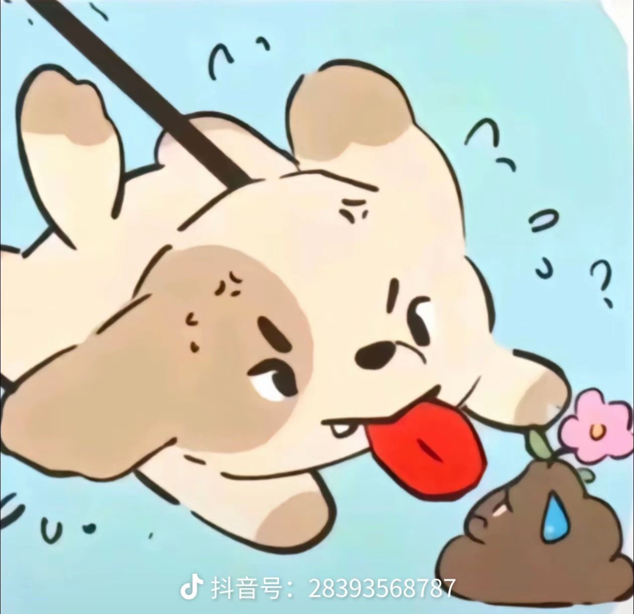 Cjrsgd's profile picture. 