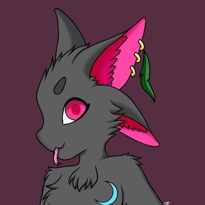 follows_avali's profile picture. i follow all cute avali/ this is my alt my main is @moonlit_avali please consider following my main/i follow nsfw accounts also, so look at your risk/not a bot