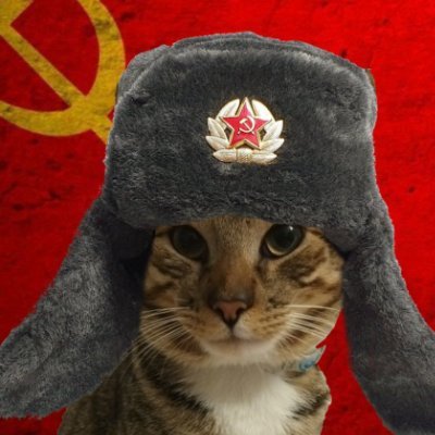 devy_pabigat's profile picture. fag/ott