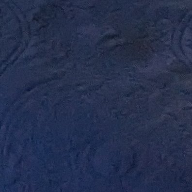 championblue19's profile picture. 