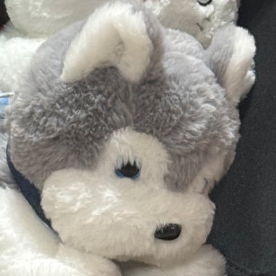 gettijn's profile picture. 