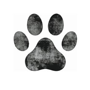 denisedetralala's profile picture. 