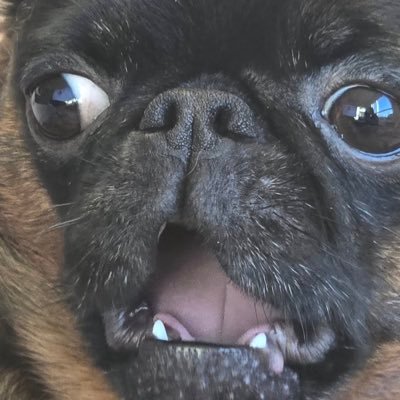 eugizo's profile picture. n repara a bagunça