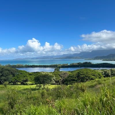 Justin37194123's profile picture. 