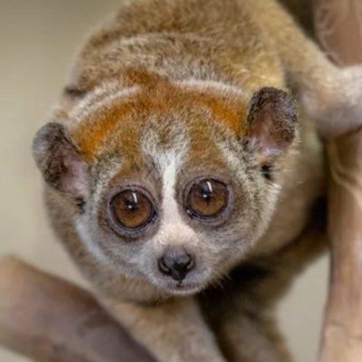 technojvlio's profile picture. https://t.co/Woeb7cbw2W