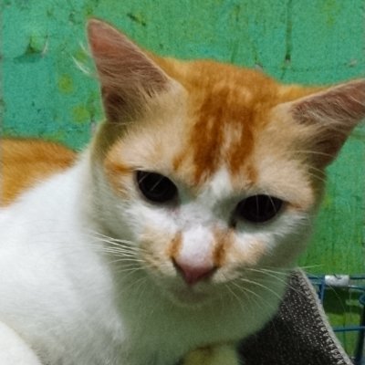 Sopiyana2401's profile picture. 