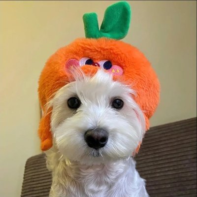 WkotnWko's profile picture. Thailand, Korea, and France took away my worries
and returned a brighter version of me 🌟
Happiness grows where gratitude lives. 🌼