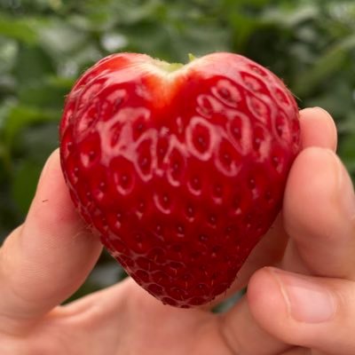 rabi03mar's profile picture. 