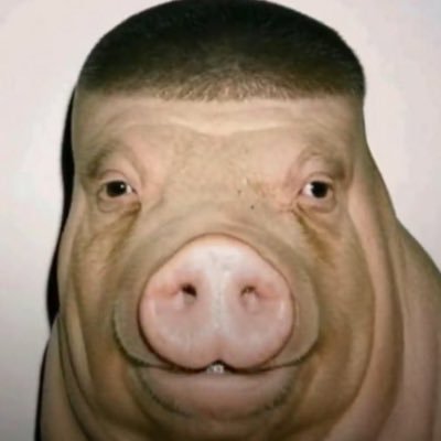 KVP96's profile picture. CSULA Alumni @nellyh8sjelly❤️