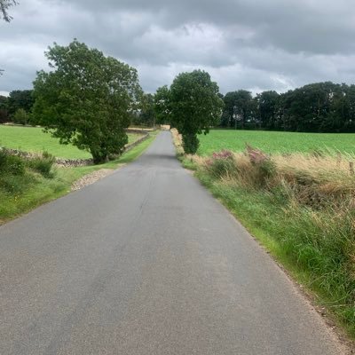 Lewis4039's profile picture. 