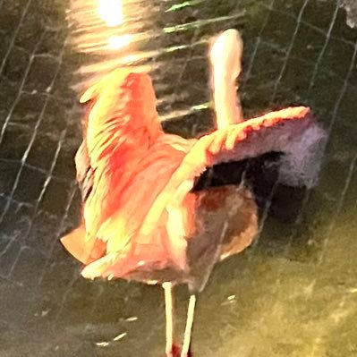 mikyokop1014's profile picture. @mikyokopです！　フォロバお気遣いなく🙇