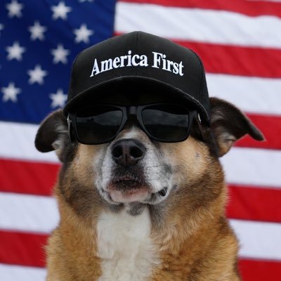 UncleDawgAF's profile picture. America First. It’s that simple. Tucker Carlson 2028. 🇺🇸