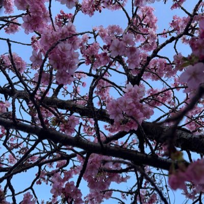 7FK7uytVavHQ2DI's profile picture. お菓子好き🍭特にチョコ🍫ダイエット🏃‍♀️ヨガ/ディズニー/旅行/ショッピング。漫画📕エステ💆‍♀️大好きです❤️当選には誠意を持って報告させていただきます/お菓子の家に住みたい！トリコの家羨ましい #まなの当選録 にて報告してます/#まなの日常等 で食べたもの、買い物、など呟いてます