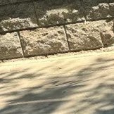 shabaoo11's profile picture. -