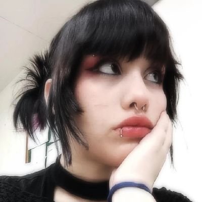 CampoDiTulipa's profile picture. 