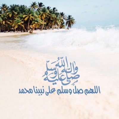 toog14155's profile picture. 