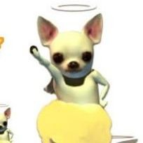 ba_cca0723's profile picture. | 츠 or 십오 or 카카 | 🐶 헷